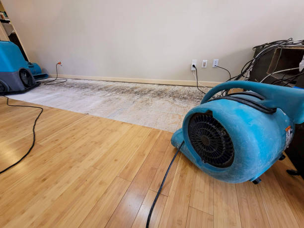 Professional Sewage Cleanup technician working in Lake, WV